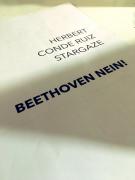 Beethoven Nein